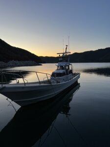 ディープブルー（三重県尾鷲市賀田港）キハダカツオキャスティング　2024年5月11日（金）